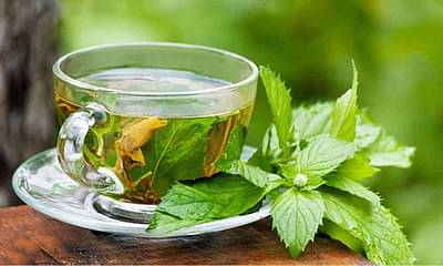 ما هي فوائد تناول الشاي الأخضر على معجة فارغة بالنسبة للجسم والجهاز المناعي